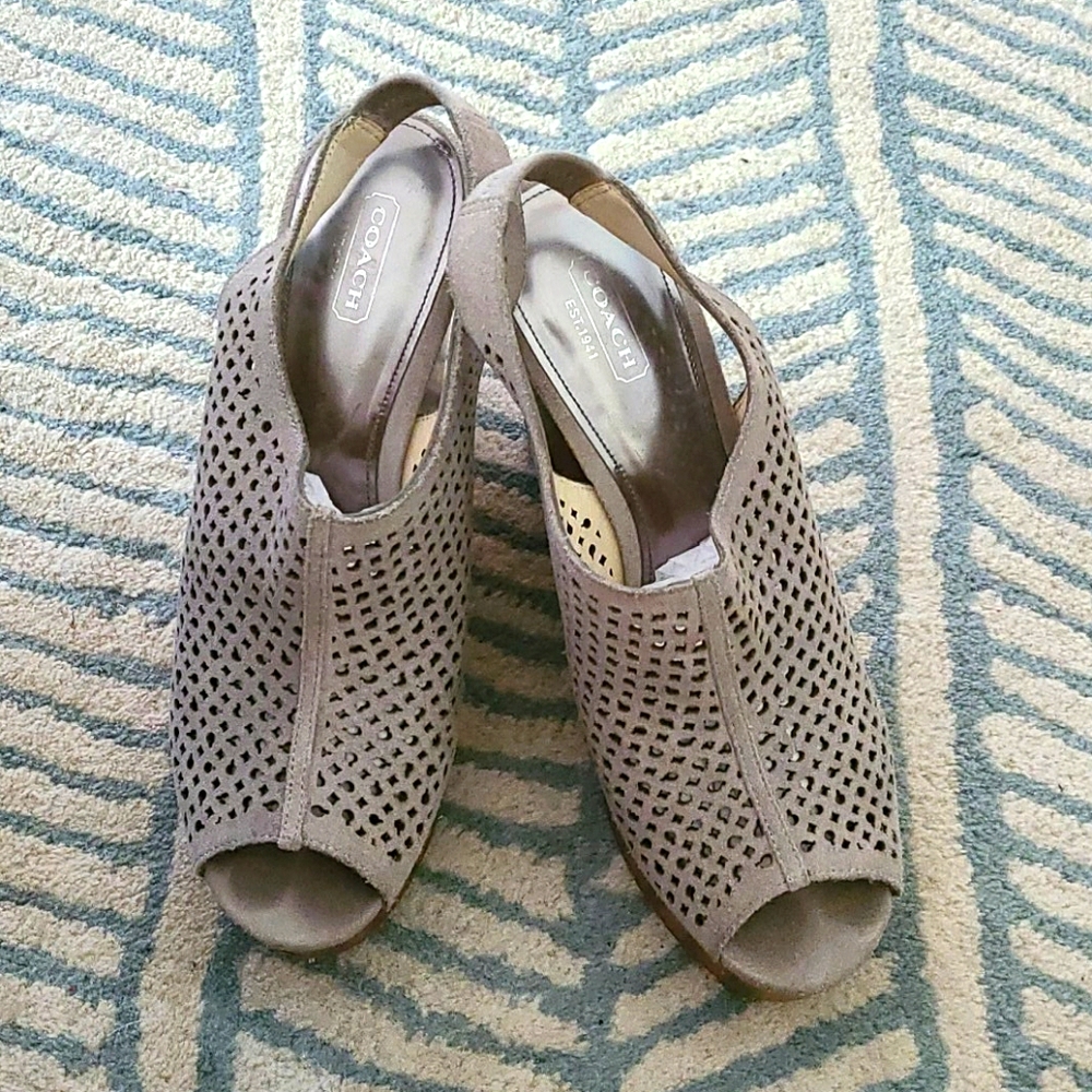 Coach Platform Suede Shoes